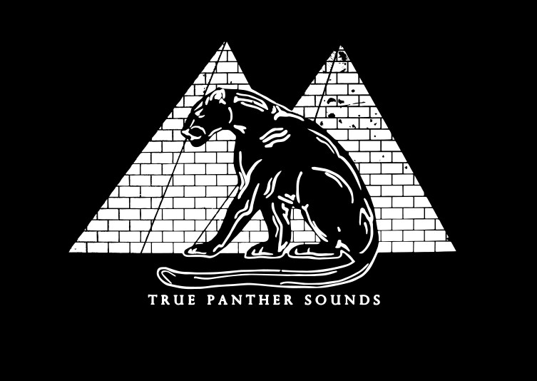 True Panther Sounds
