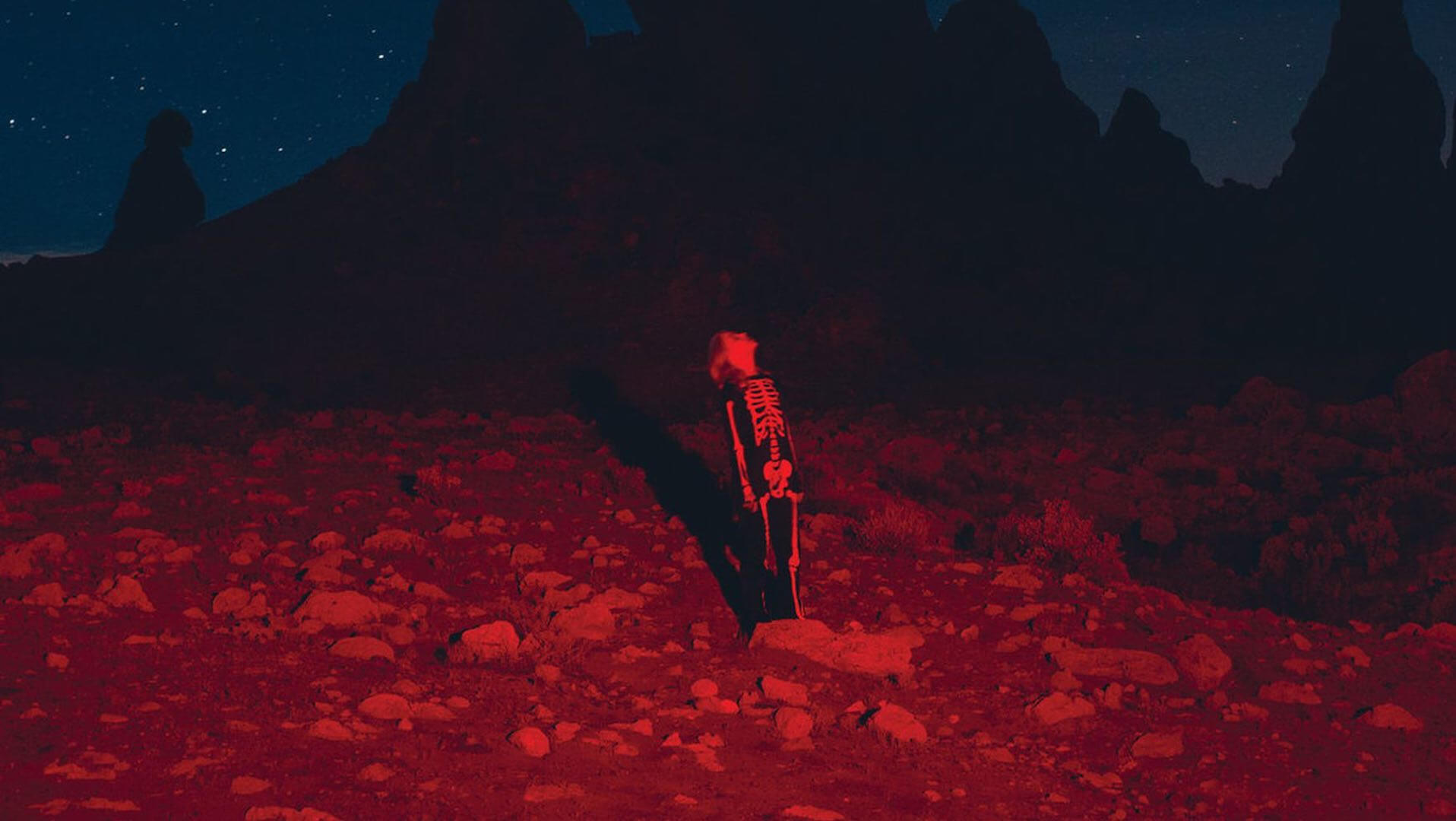 Phoebe Bridgers, 2020