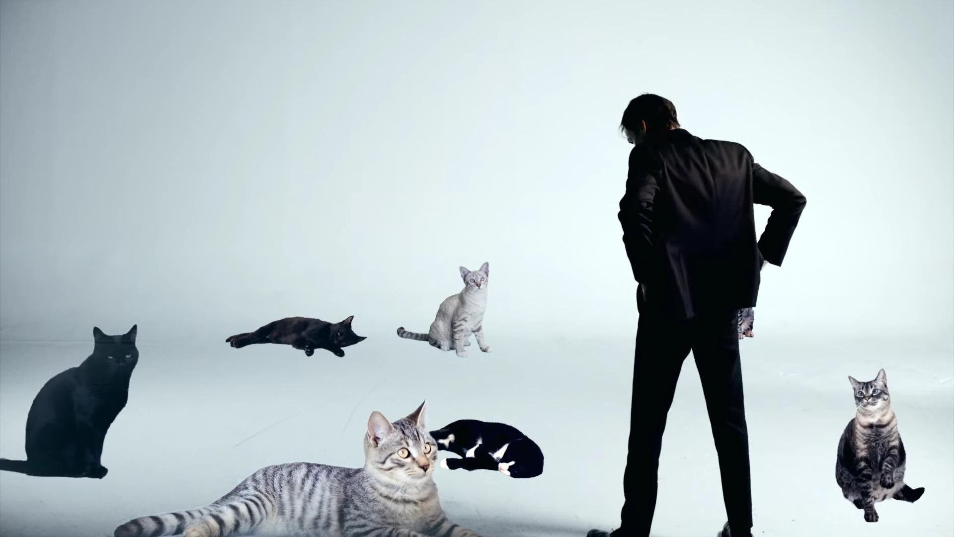Andrew Bird, "Make a Picture" clip screenshot