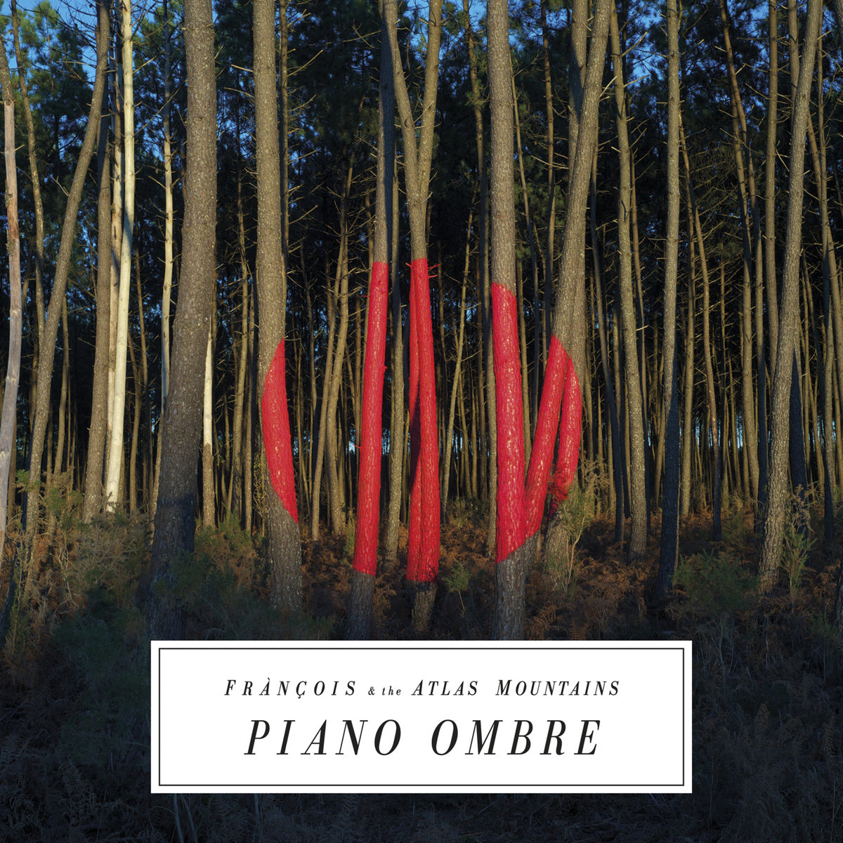 Frànçois & The Atlas Mountains - Piano Ombre