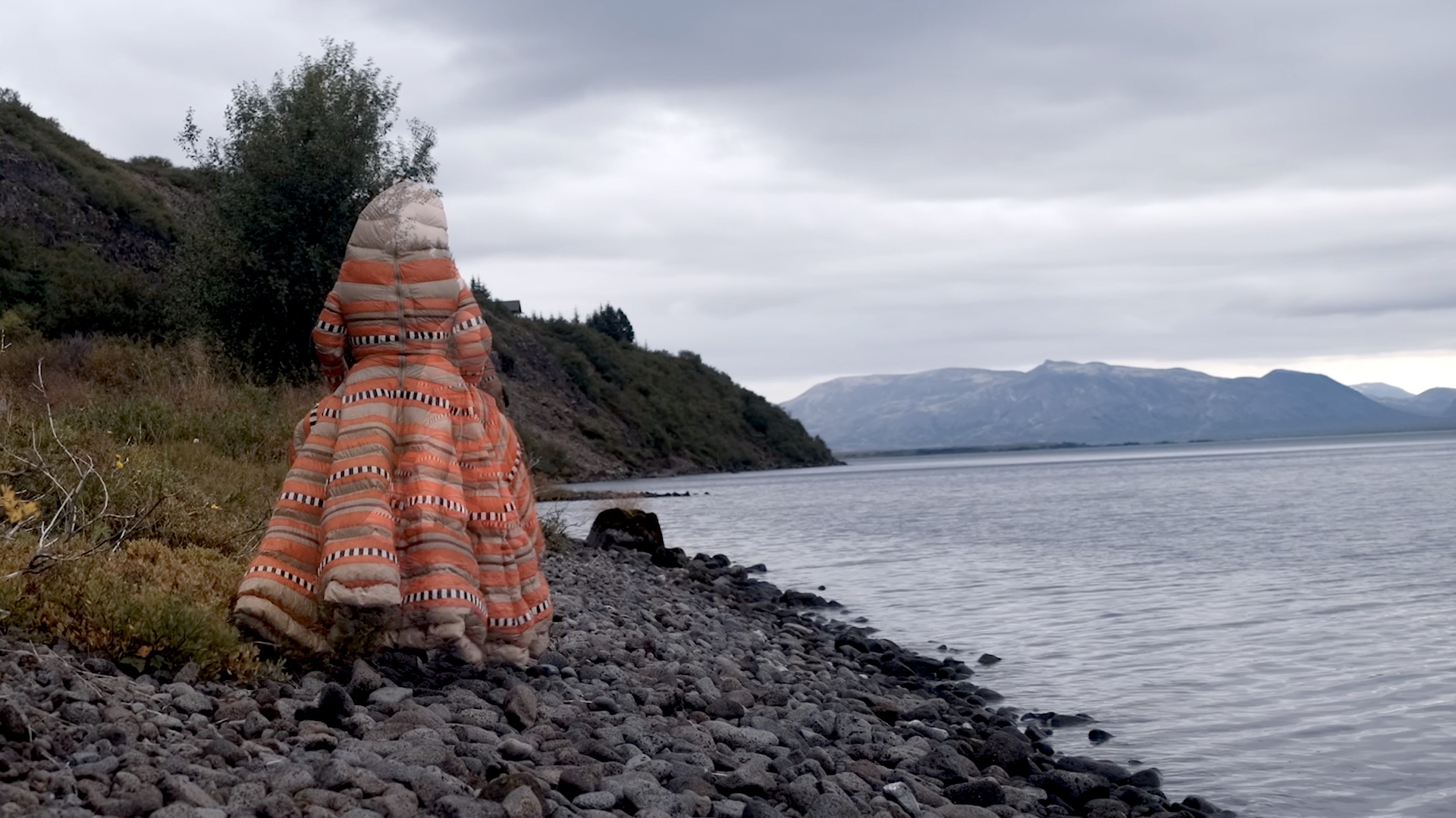 Björk, 2022