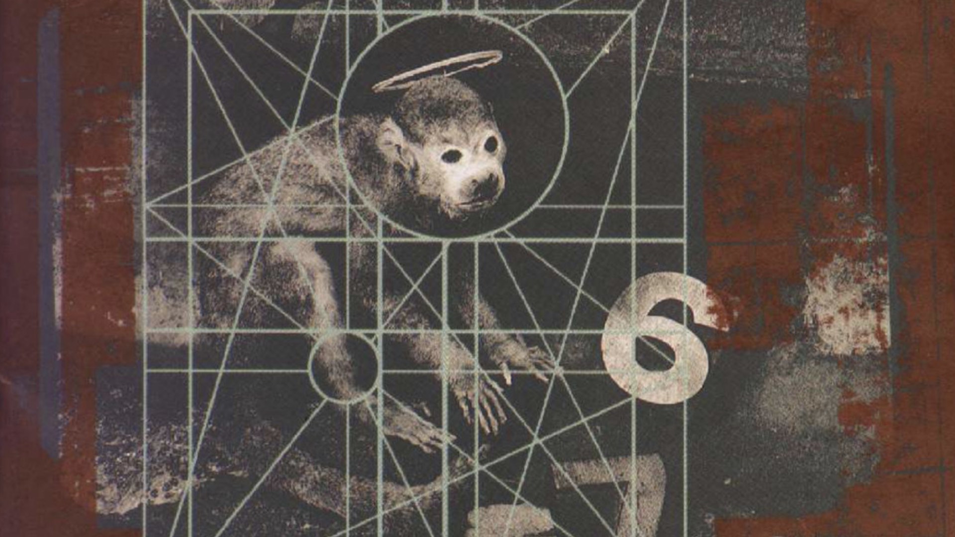 Pixies, "Doolittle" (1989), label : 4AD