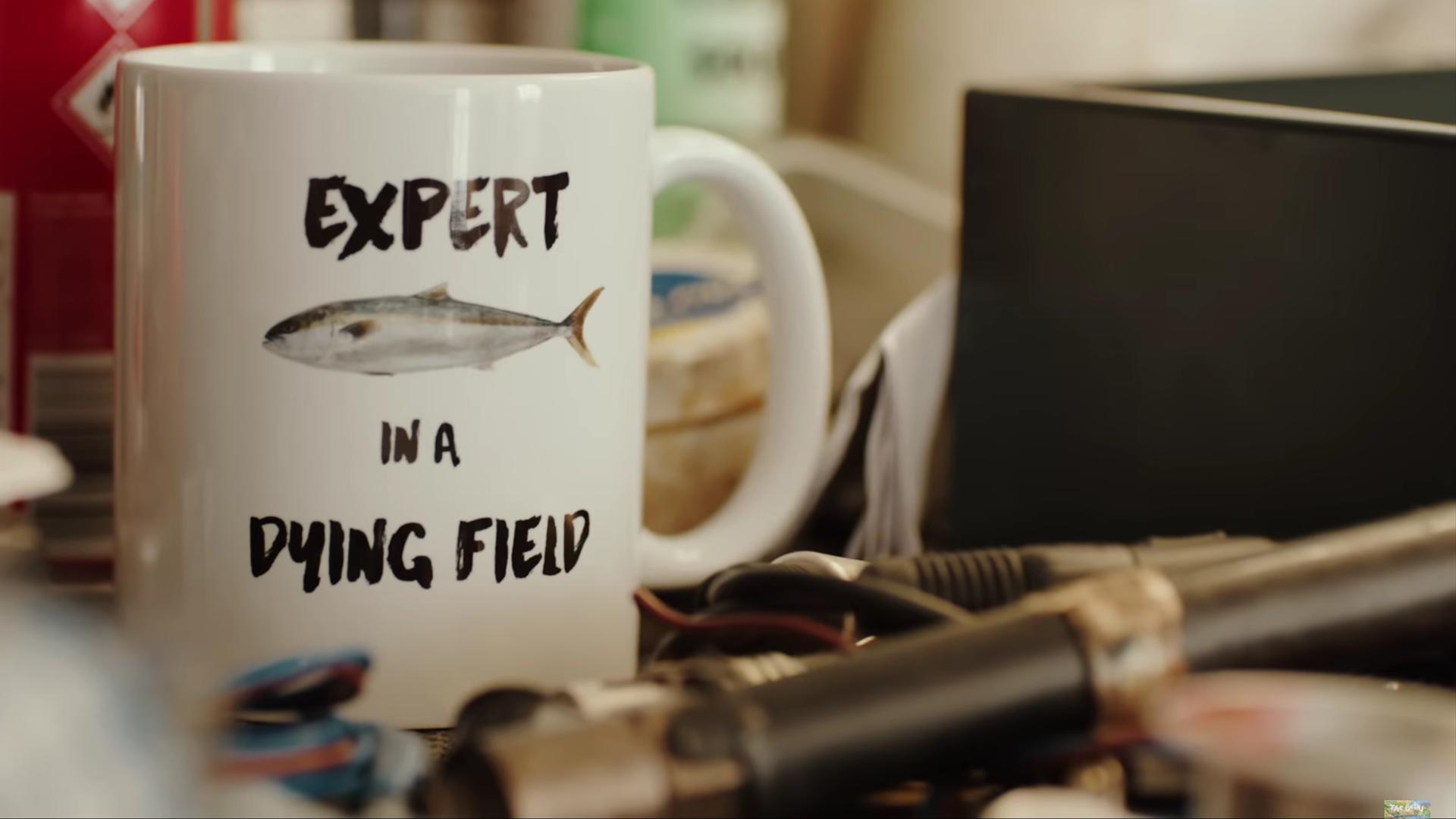 The Beths, "Expert in a Dying Field" clip screenshot