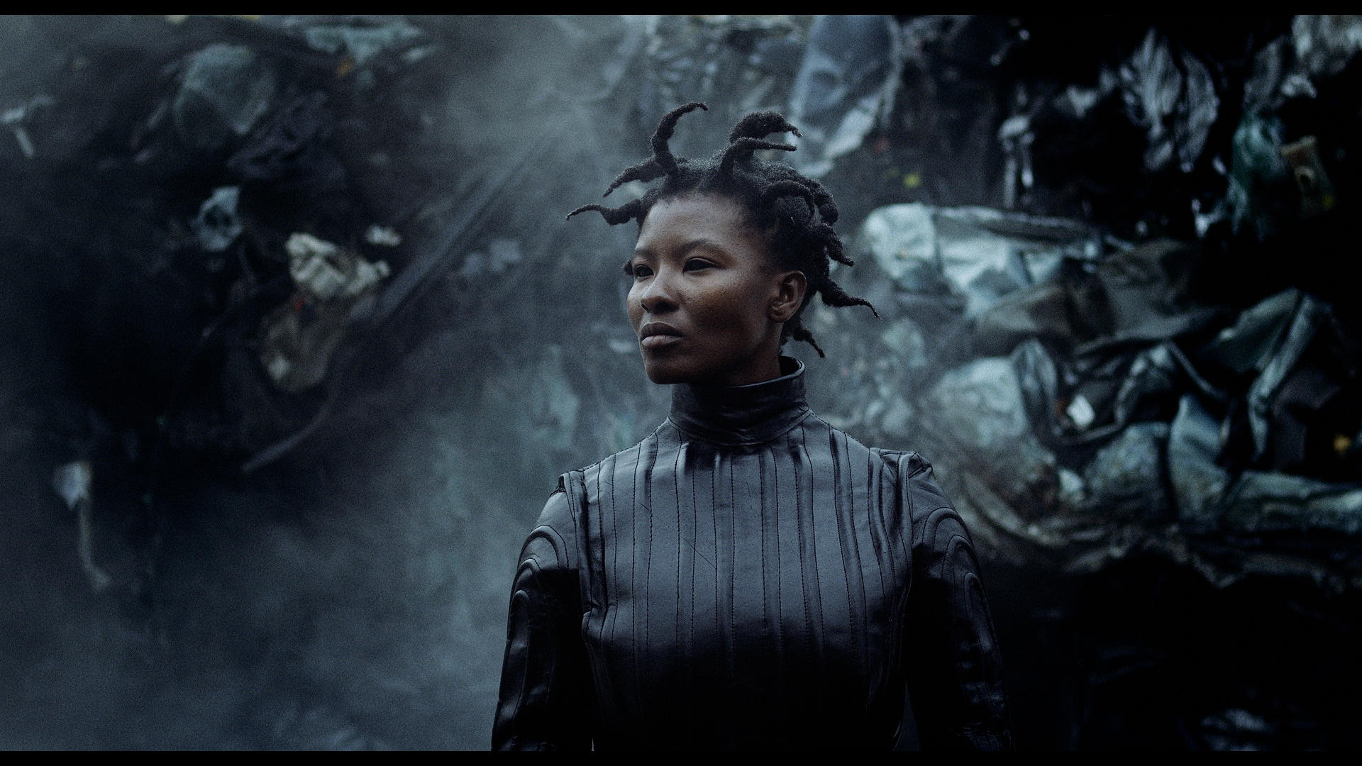Black Elephant clip screenshot - Oiseaux-Tempête