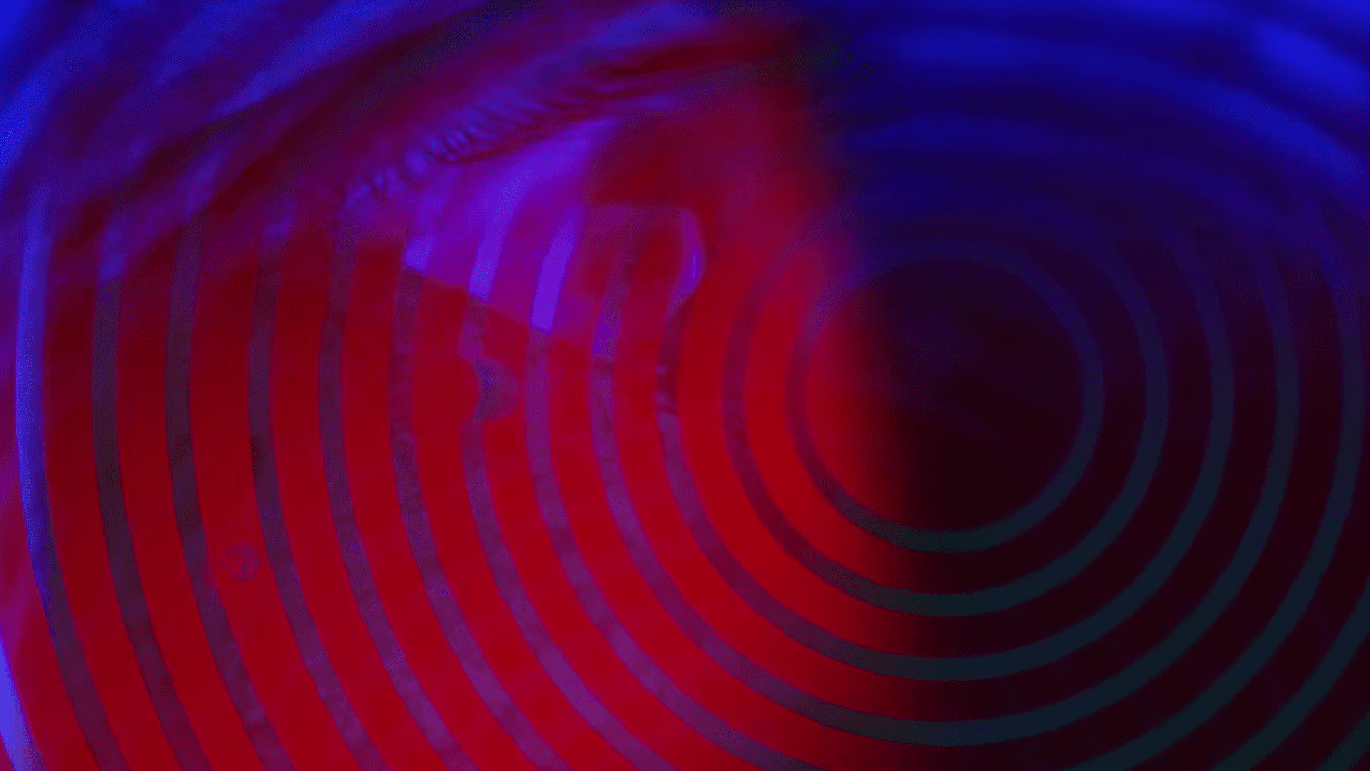 Protomartyr, "Make Way" clip screenshot
