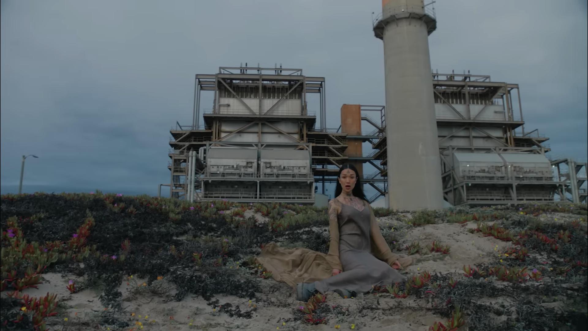 ANOHNI and the Johnsons, "Why Am I Alive Now?" clip screenshot