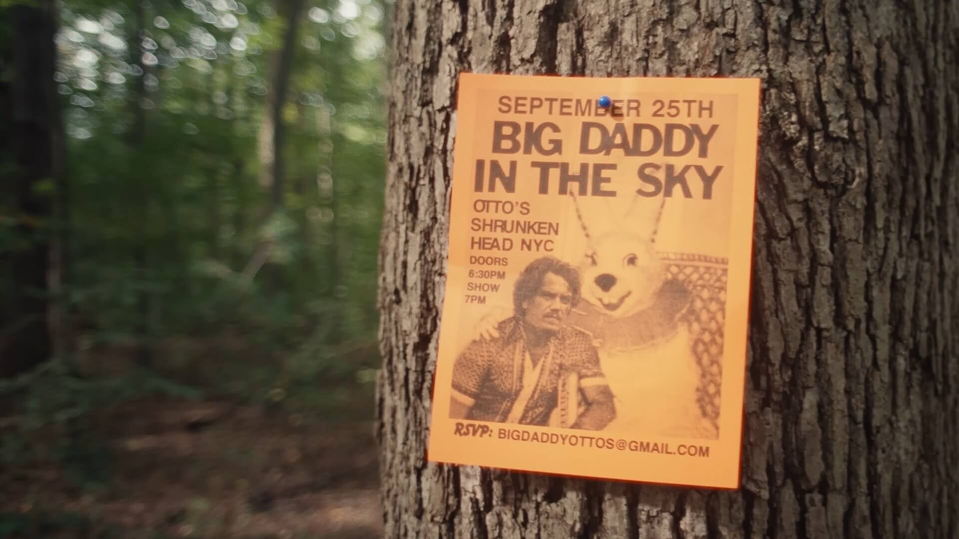 Kurt Vile, "Another Good Year for the Roses" clip screenshot