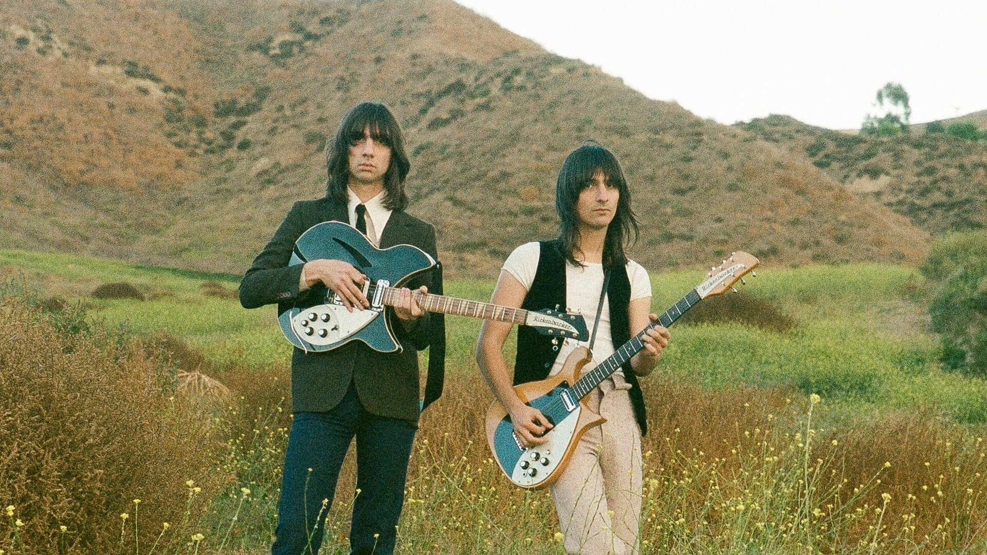 The Lemon Twigs (My Golden Years) bannière