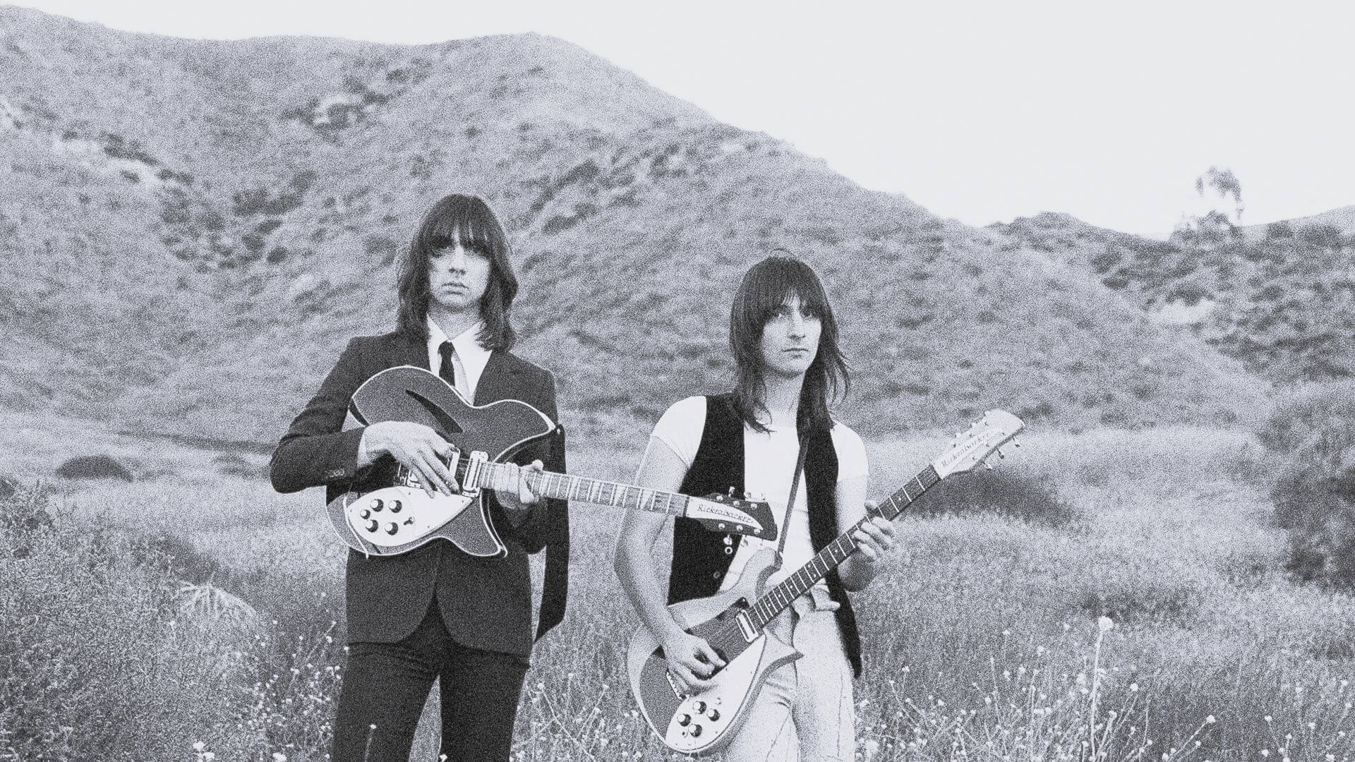 The Lemon Twigs (A Dream Is All We Know) bannière