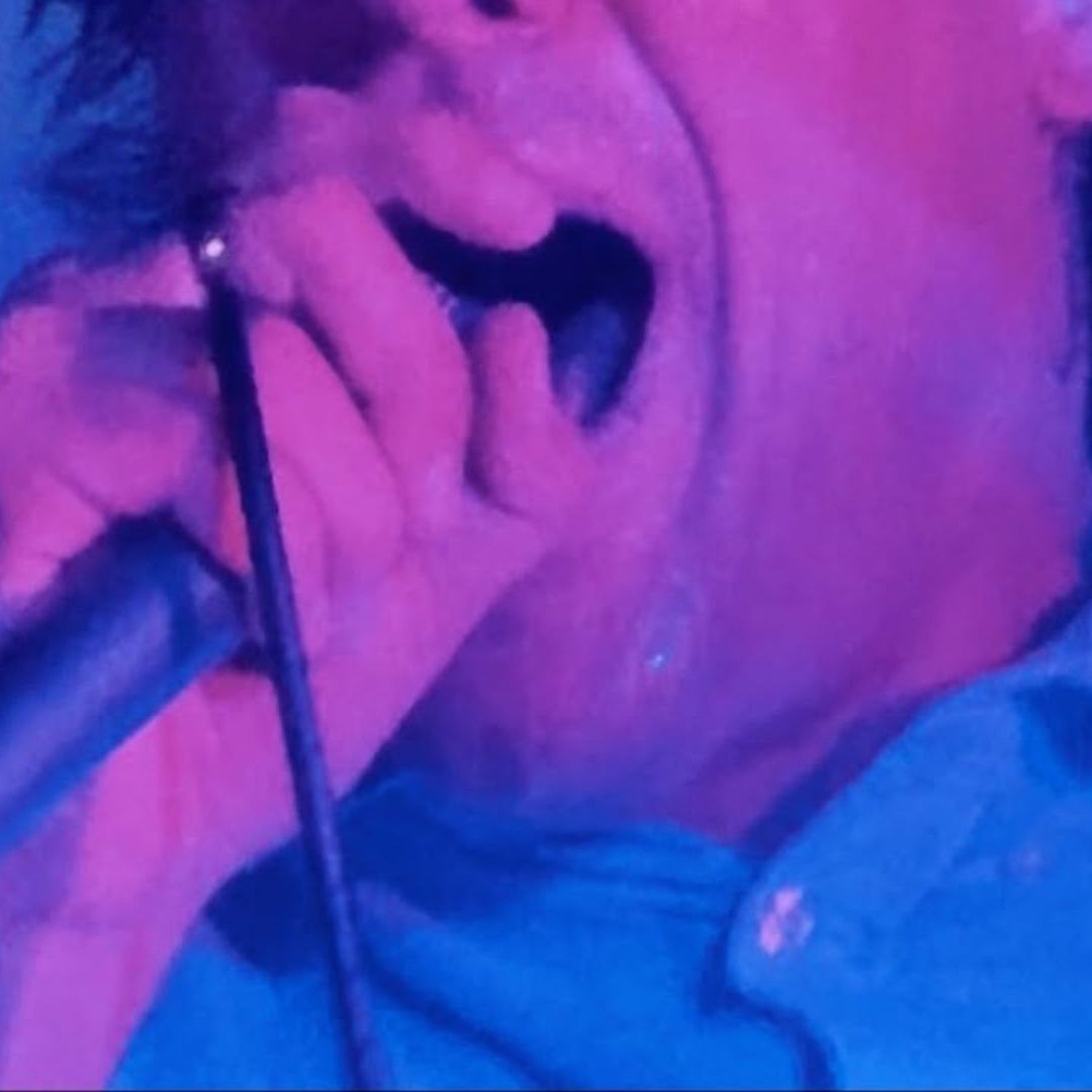 Cate Le Bon, Jeff Tweedy, Sprints…: le superbe cahier critique du 26 septembre 2025