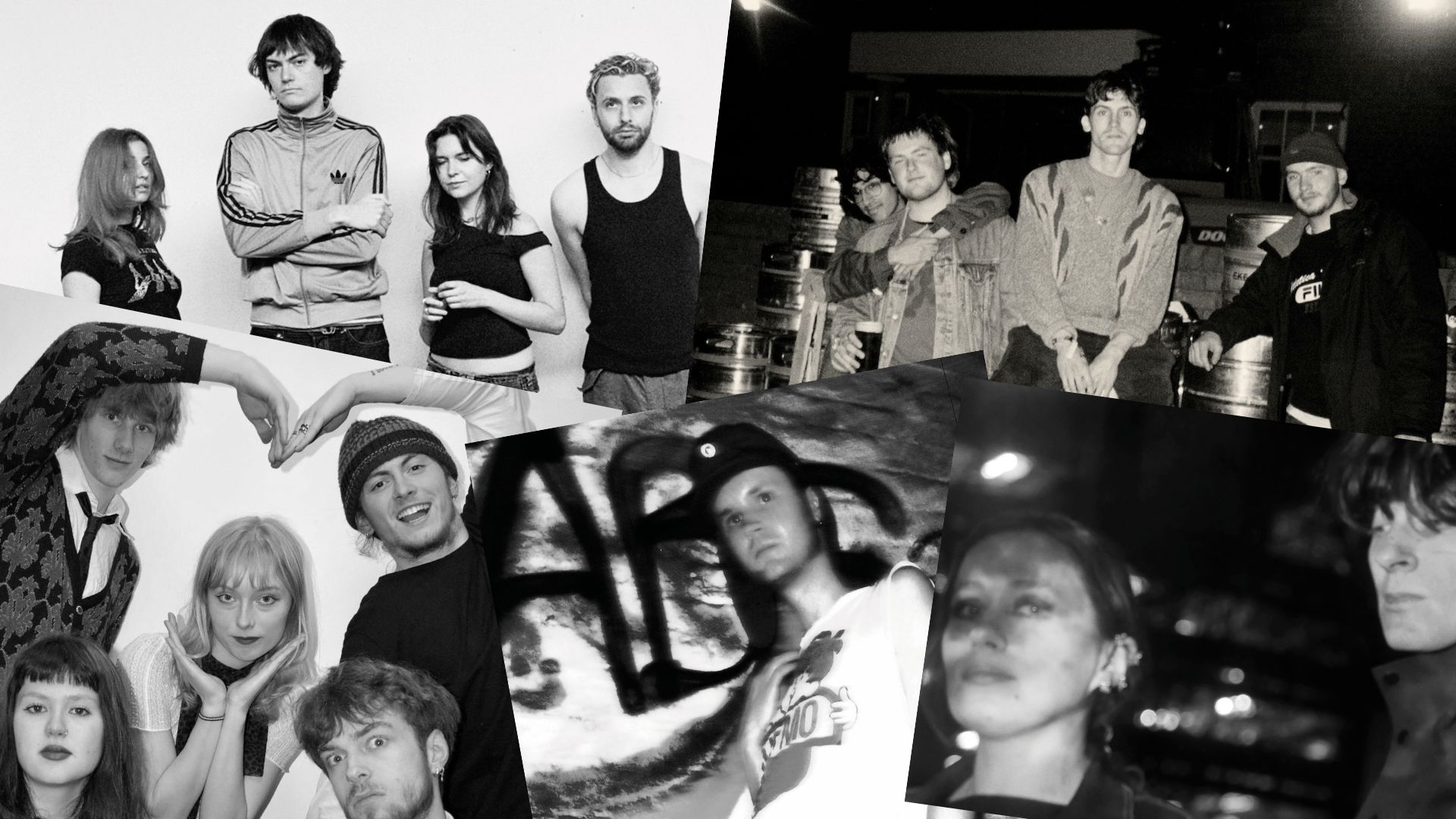 Hank, Fuzz Lightyear, Slag, Crimewave, White Flowers