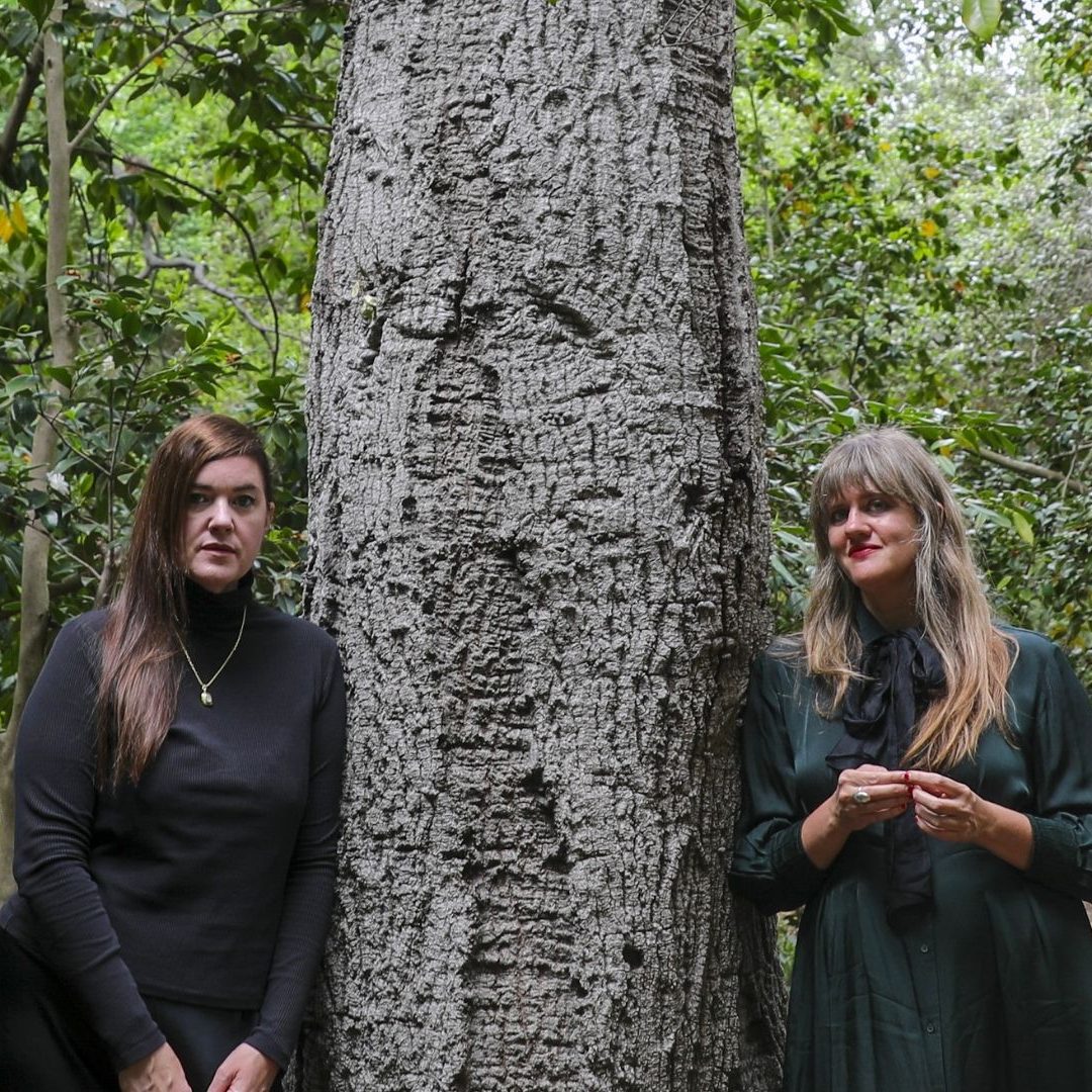 Mary Lattimore & Julianna Barwick «Ne serait-ce pas agréable de s’échapper dans une forêt avec des harpes et des synthés ?» 