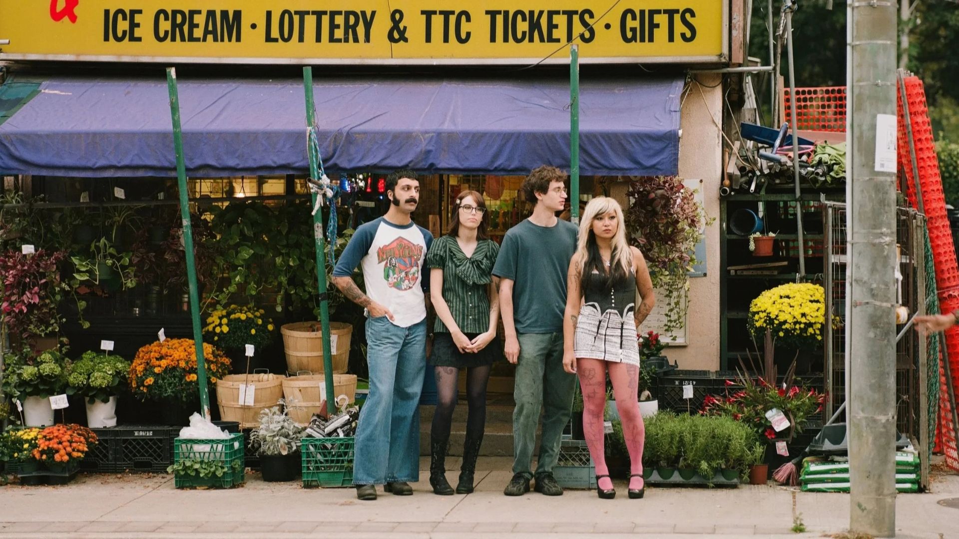 Cootie Catcher © Colin Medley